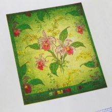 13072021-_MG_6203-12