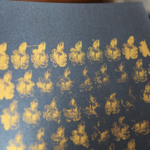 13072021-_MG_6234-25