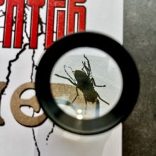 0E3594F1-F25E-4F2C-9D70-E9CAE9C75972